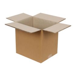 25x20x25 Cm Dubbel Gegolfd Pakket Echoliner